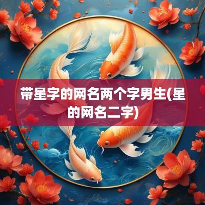 带星字的网名两个字男生(星的网名二字)
