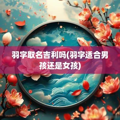 羽字取名吉利吗(羽字适合男孩还是女孩)