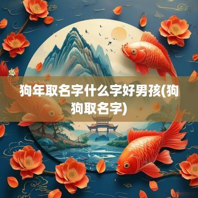 狗年取名字什么字好男孩(狗狗取名字)