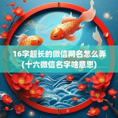 16字超长的微信网名怎么弄(十六微信名字啥意思)