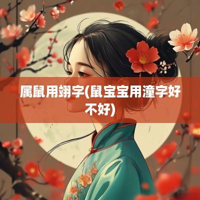 属鼠用翊字(鼠宝宝用潼字好不好)
