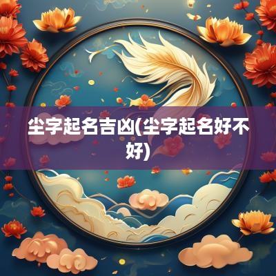 尘字起名吉凶(尘字起名好不好)