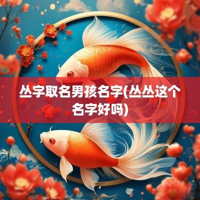 丛字取名男孩名字(丛丛这个名字好吗)