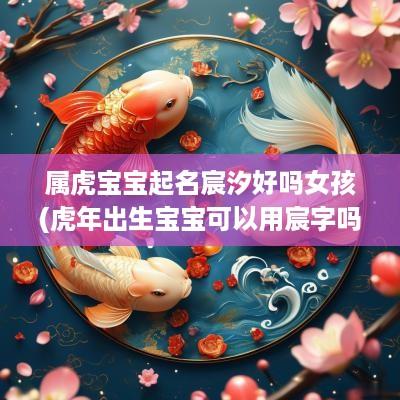 属虎宝宝起名宸汐好吗女孩(蛇年出生宝宝可以用宸字吗)