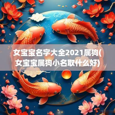 女宝宝名字大全2025属狗(女宝宝属狗小名取什么好)