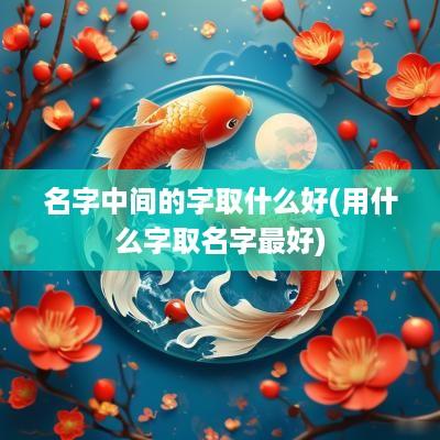 名字中间的字取什么好(用什么字取名字最好)