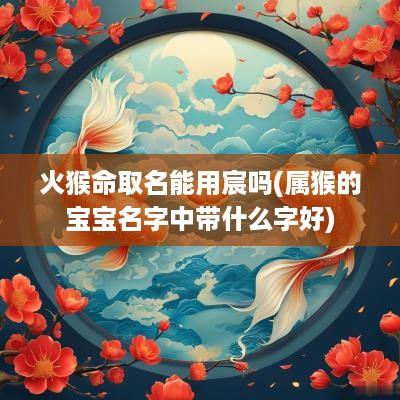 火猴命取名能用宸吗(属猴的宝宝名字中带什么字好)