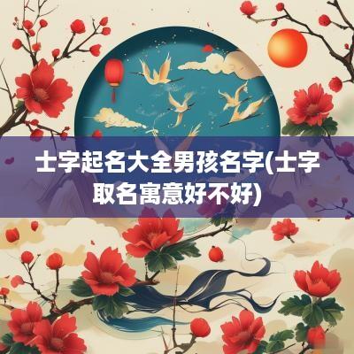 士字起名大全男孩名字(士字取名寓意好不好)