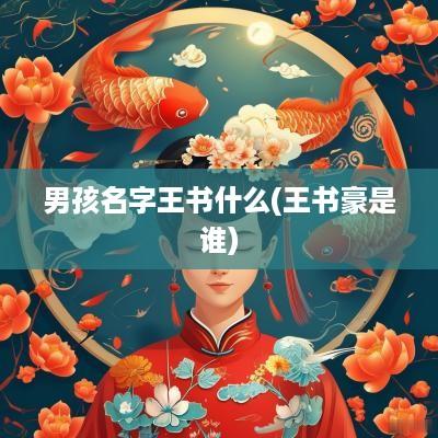 男孩名字王书什么(王书豪是谁)
