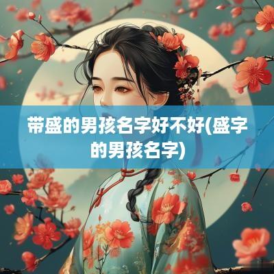 带盛的男孩名字好不好(盛字的男孩名字)