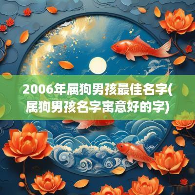 2006年属狗男孩最佳名字(属狗男孩名字寓意好的字)