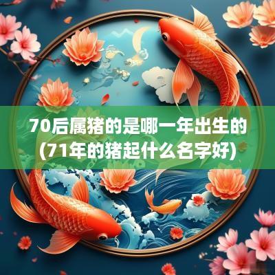 70后属猪的是哪一年出生的(71年的猪起什么名字好)
