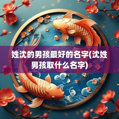 姓沈的男孩最好的名字(沈姓男孩取什么名字)