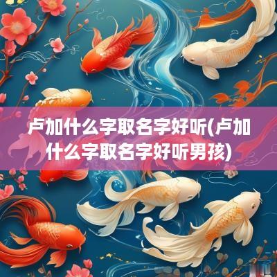 卢加什么字取名字好听(卢加什么字取名字好听男孩)