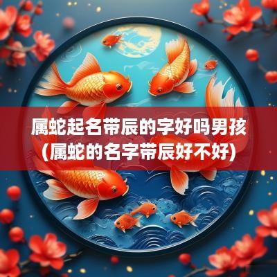 属蛇起名带辰的字好吗男孩(属蛇的名字带辰好不好)