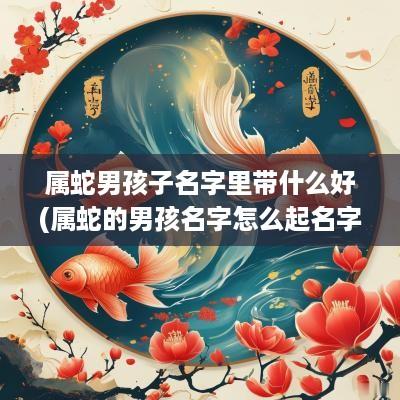 属蛇男孩子名字里带什么好(属蛇的男孩名字怎么起名字)
