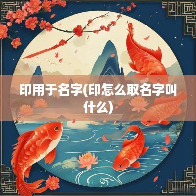 印用于名字(印怎么取名字叫什么)