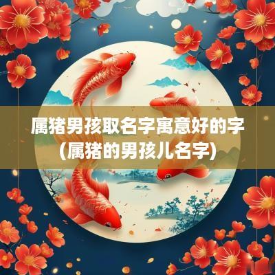 属猪男孩取名字寓意好的字(属猪的男孩儿名字)