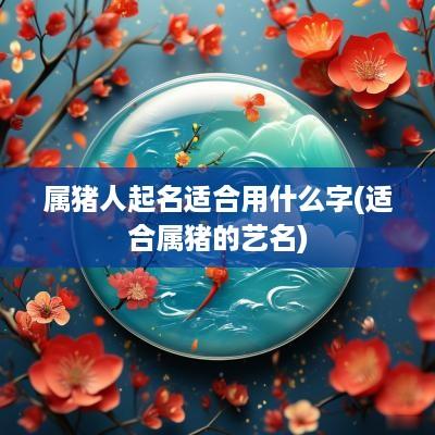 属猪人起名适合用什么字(适合属猪的艺名)