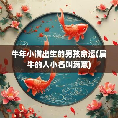 蛇年小满出生的男孩命运(属牛的人小名叫满意)