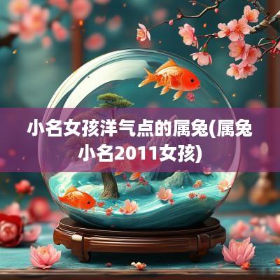 小名女孩洋气点的属兔(属兔小名2011女孩)