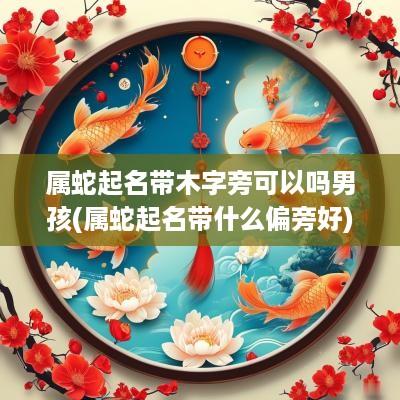 属蛇起名带木字旁可以吗男孩(属蛇起名带什么偏旁好)