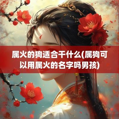 属火的狗适合干什么(属狗可以用属火的名字吗男孩)