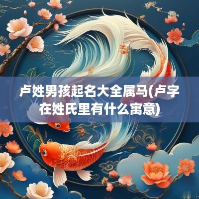 卢姓男孩起名大全属马(卢字在姓氏里有什么寓意)