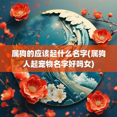 属狗的应该起什么名字(属狗人起宠物名字好吗女)