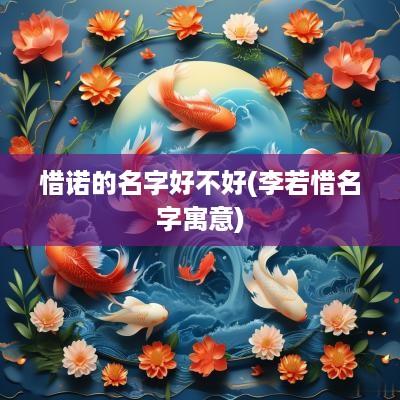 惜诺的名字好不好(李若惜名字寓意)