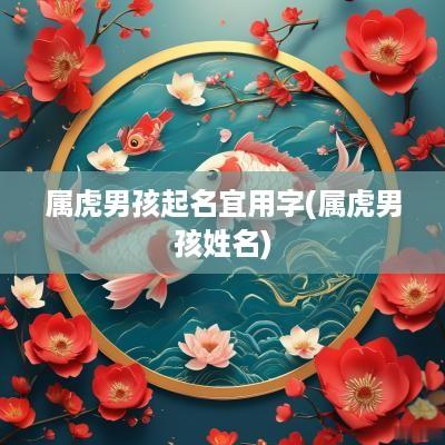 属虎男孩起名宜用字(属虎男孩姓名)