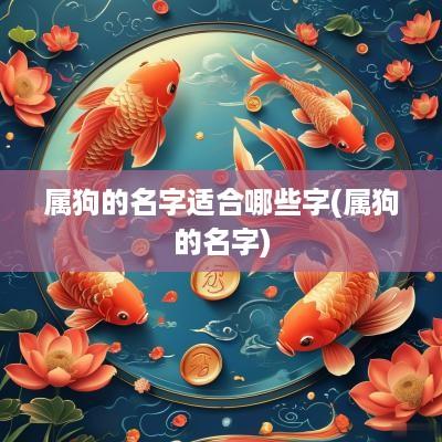 属狗的名字适合哪些字(属狗的名字)