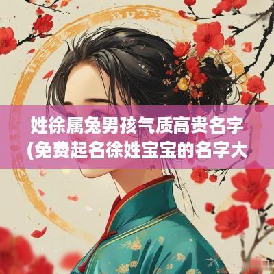 姓徐属兔男孩气质高贵名字(免费起名徐姓宝宝的名字大全)