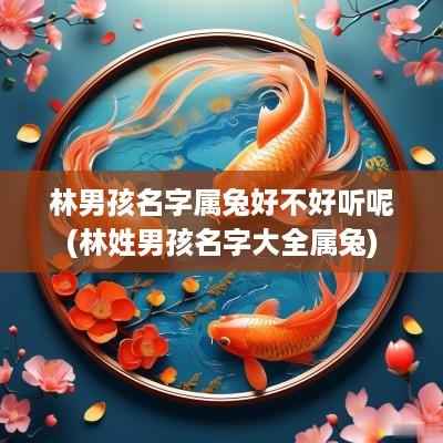 林男孩名字属兔好不好听呢(林姓男孩名字大全属兔)
