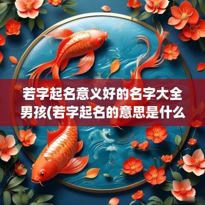若字起名意义好的名字大全男孩(若字起名的意思是什么)