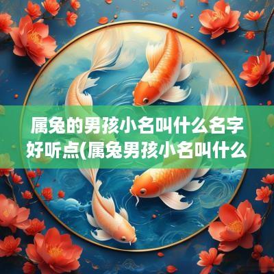 属兔的男孩小名叫什么名字好听点(属兔男孩小名叫什么寓意好的)