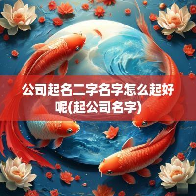 公司起名二字名字怎么起好呢(起公司名字)