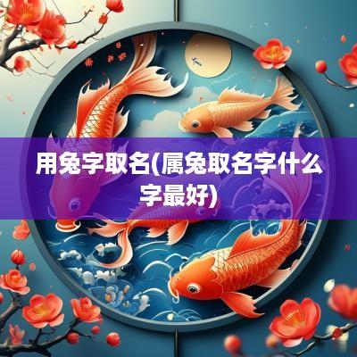 用兔字取名(属兔取名字什么字最好)
