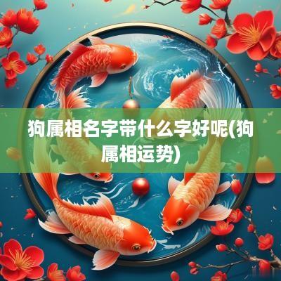 狗属相名字带什么字好呢(狗属相运势)