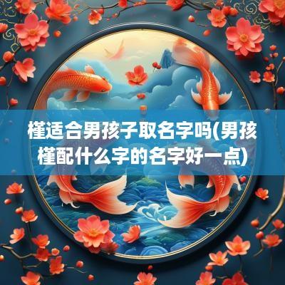 槿适合男孩子取名字吗(男孩槿配什么字的名字好一点)