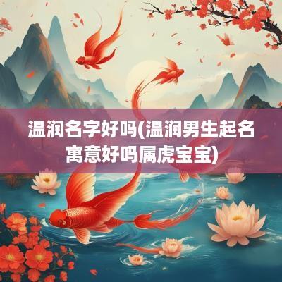 温润名字好吗(温润男生起名寓意好吗属虎宝宝)