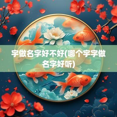 宇做名字好不好(哪个宇字做名字好听)