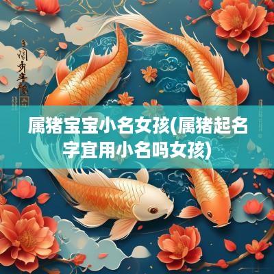 属猪宝宝小名女孩(属猪起名字宜用小名吗女孩)