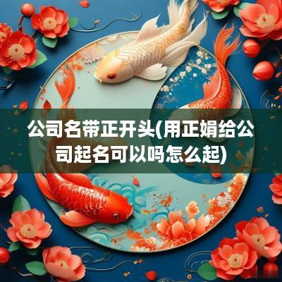 公司名带正开头(用正娟给公司起名可以吗怎么起)
