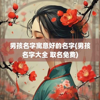 男孩名字寓意好的名字(男孩名字大全 取名免费)