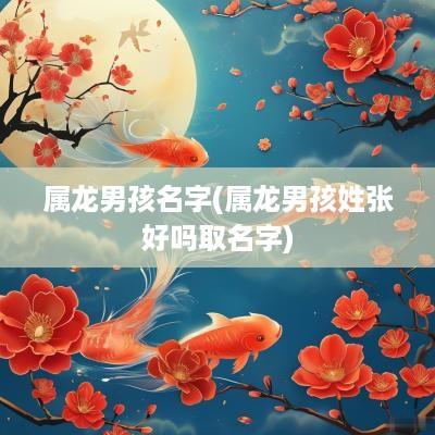 属龙男孩名字(属龙男孩姓张好吗取名字)
