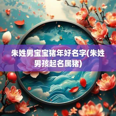 朱姓男宝宝猪年好名字(朱姓男孩起名属猪)