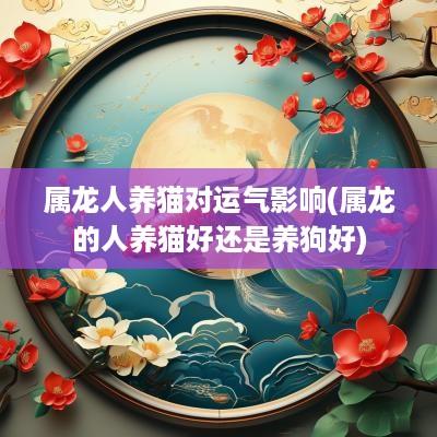 属龙人养猫对运气影响(属龙的人养猫好还是养狗好)