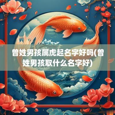 曾姓男孩属虎起名字好吗(曾姓男孩取什么名字好)