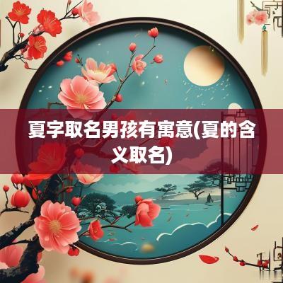 夏字取名男孩有寓意(夏的含义取名)
